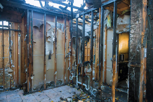 Professional Fire Damage Removal technician working in Littlerock, CA